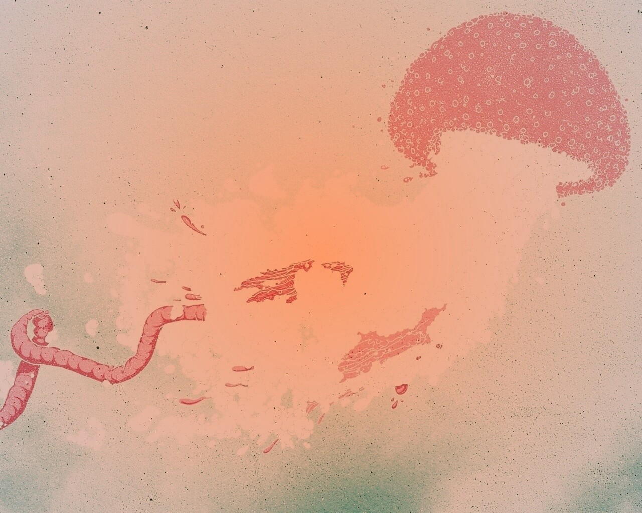 Розовая медуза обои