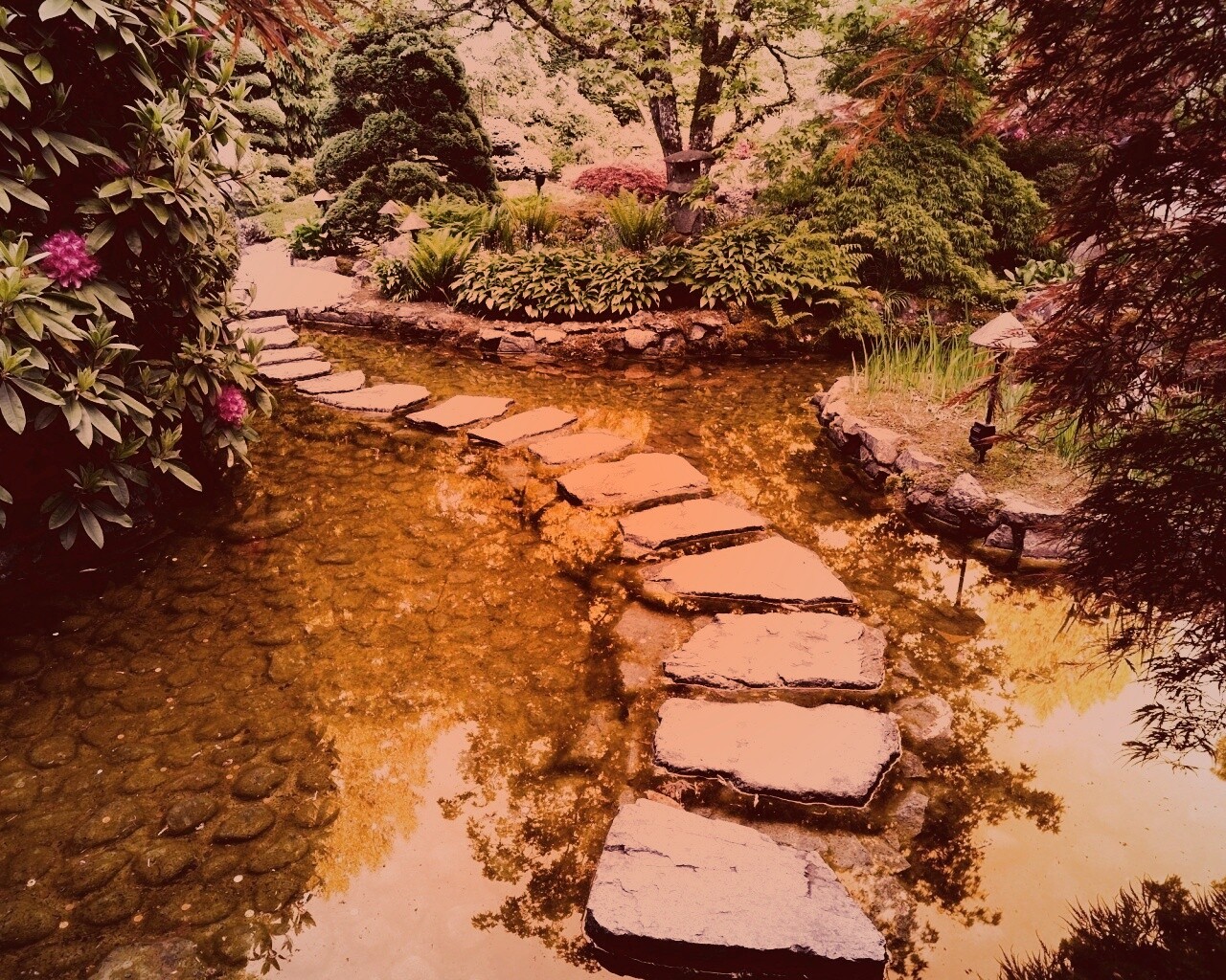 Дорожка через пруд обои