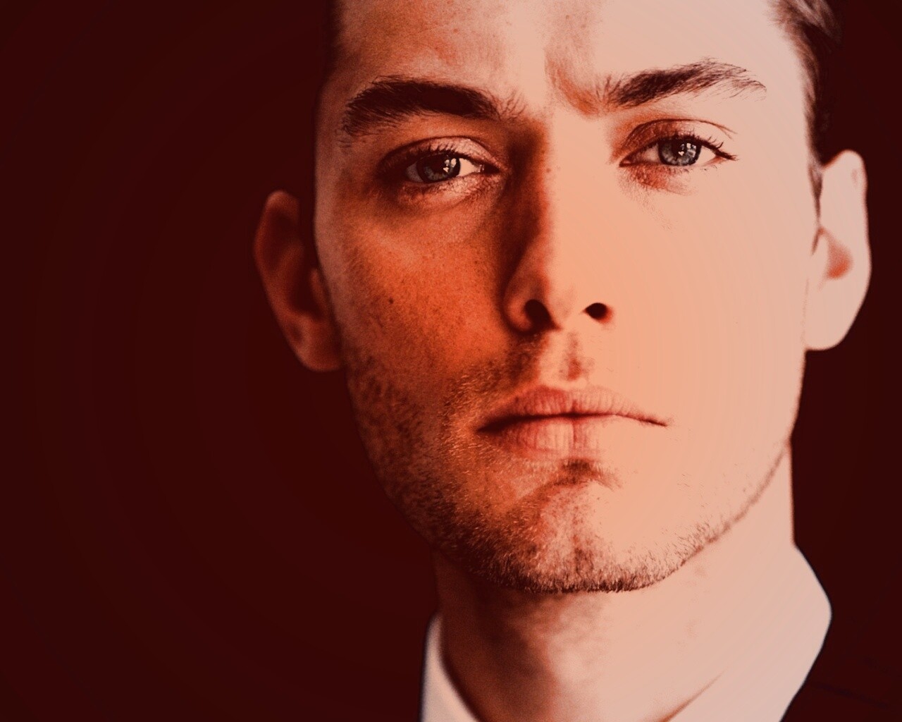 Актёр Джуд Лоу обои