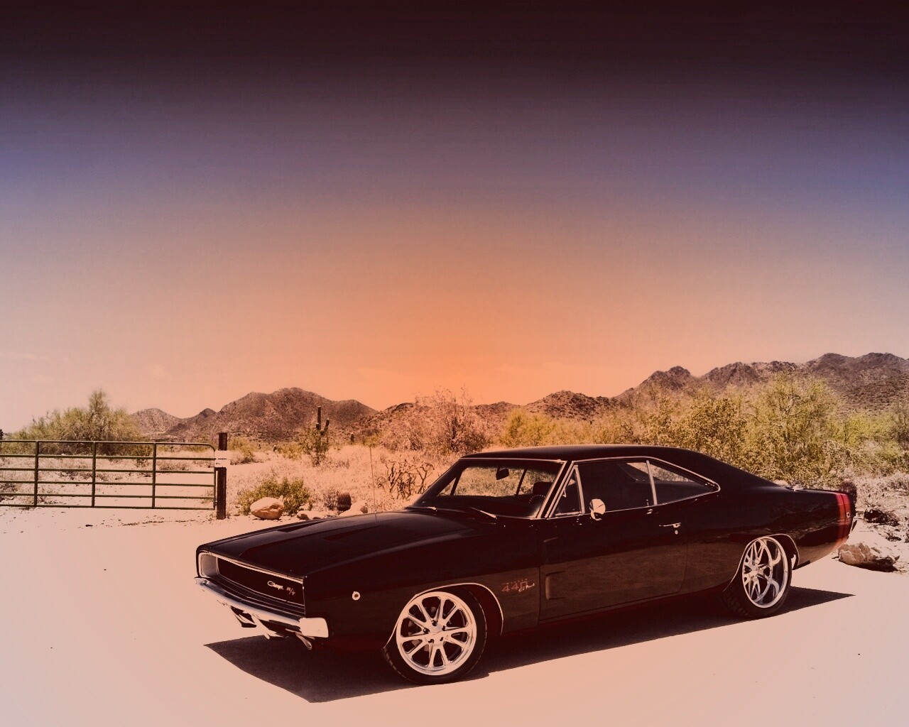 Мускулкар под палящим солнцем обои