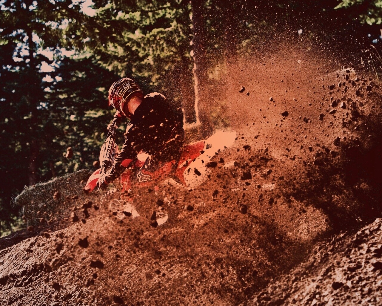 Моторалли обои