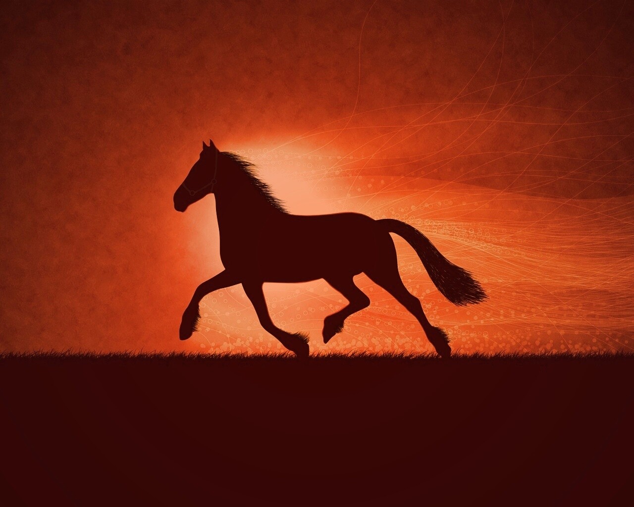 Силует коня на закате обои