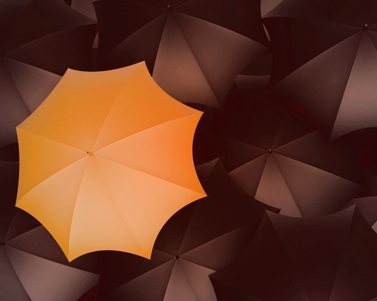 Жёлтый среди чёрных обои