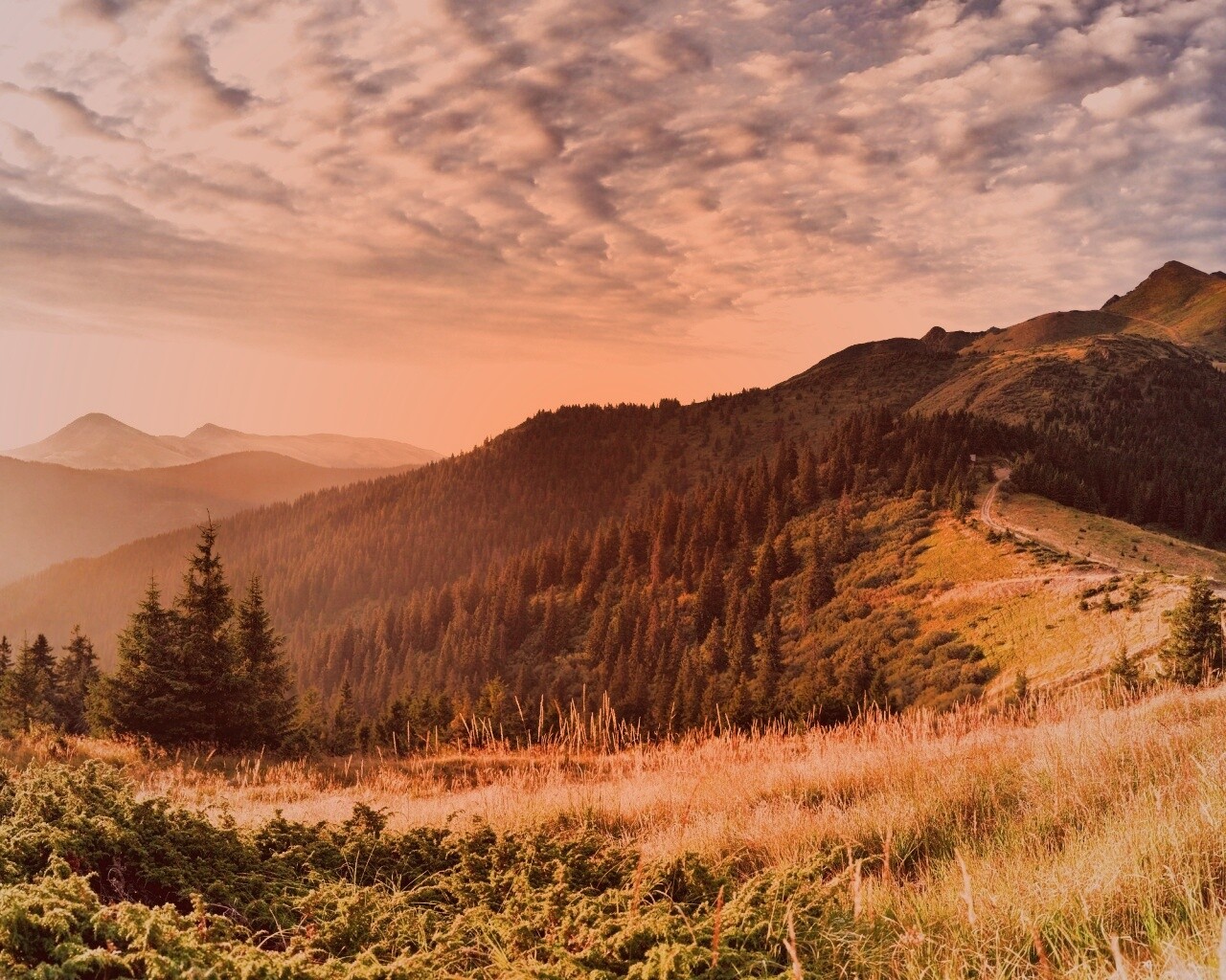 Предгорье обои