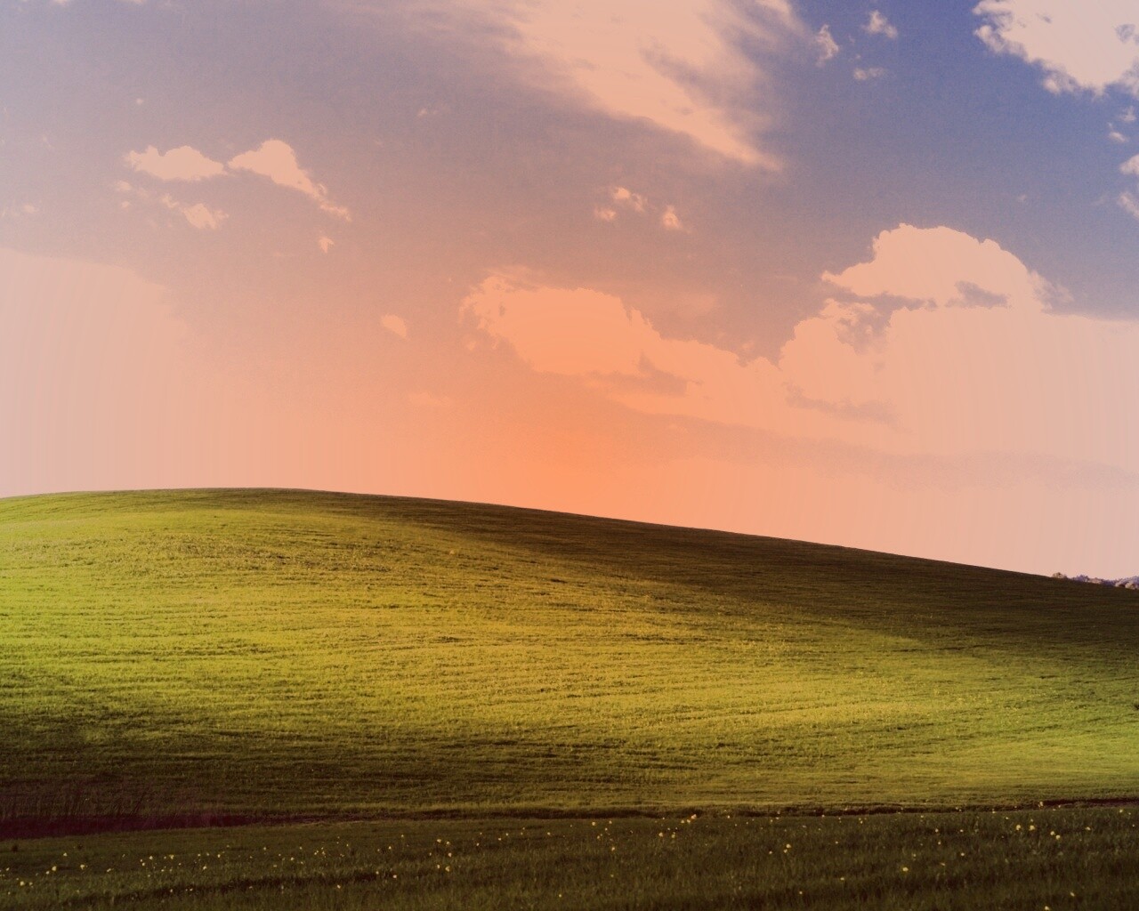 Стандартные обои Windows XP обои