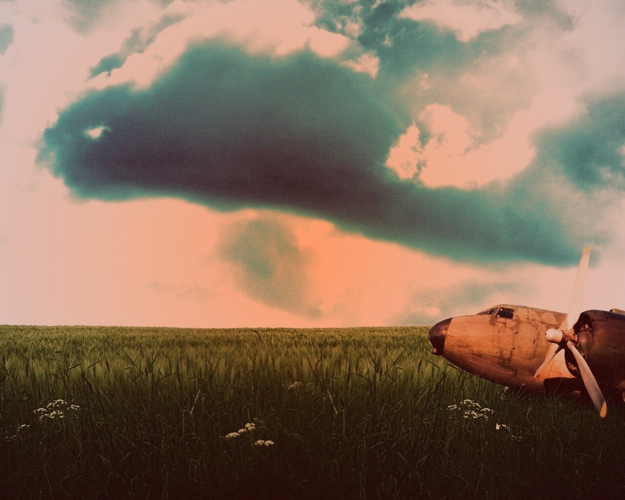 Старый ржавый самолет на лугу обои