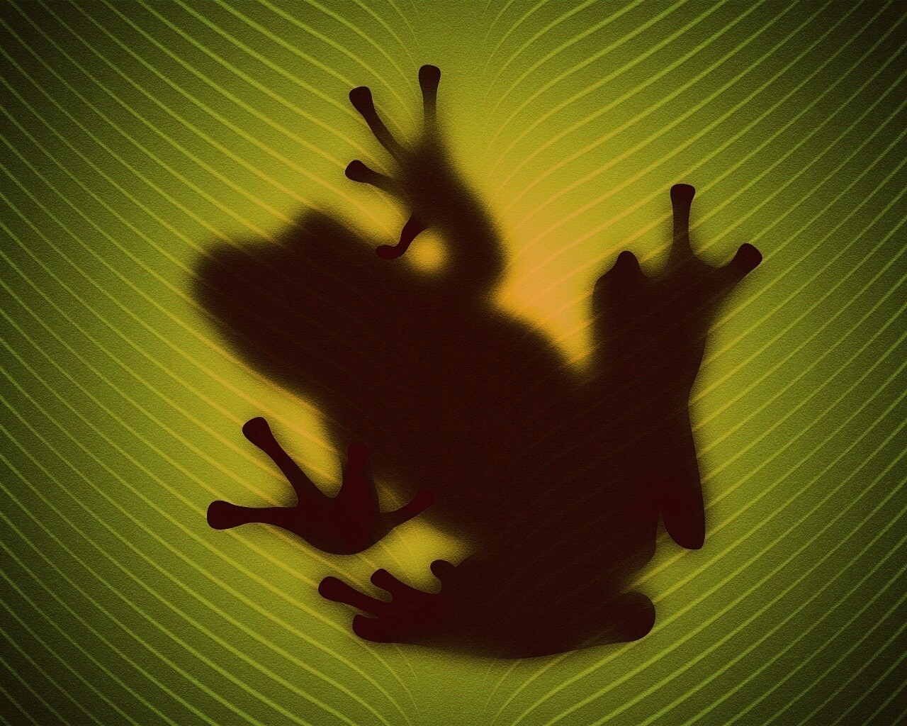 Силуэт лягушки просвечивает сквозь зеленый лист обои