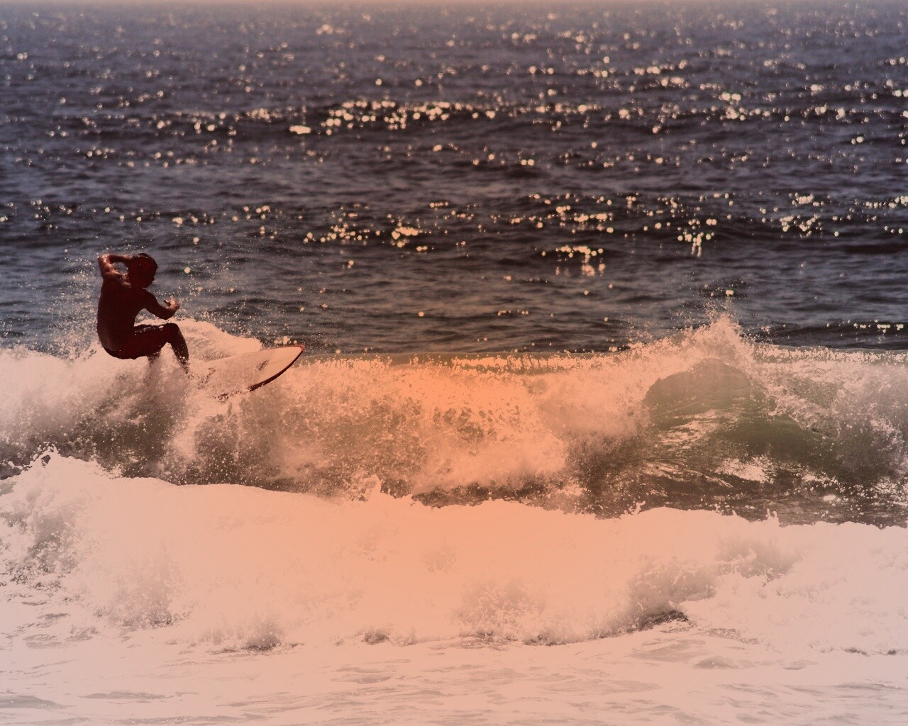Сёрфенгист поймал волну обои