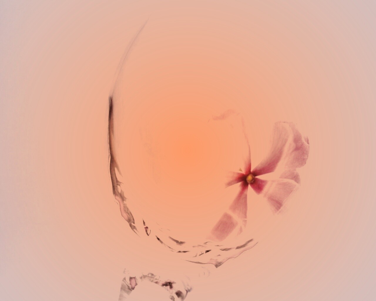 Нежный цветок в бокале на фоне голубого неба обои