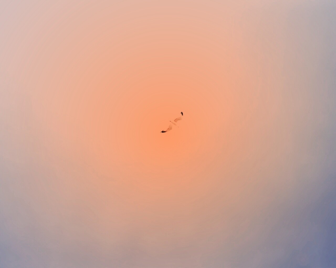 Полет  обои