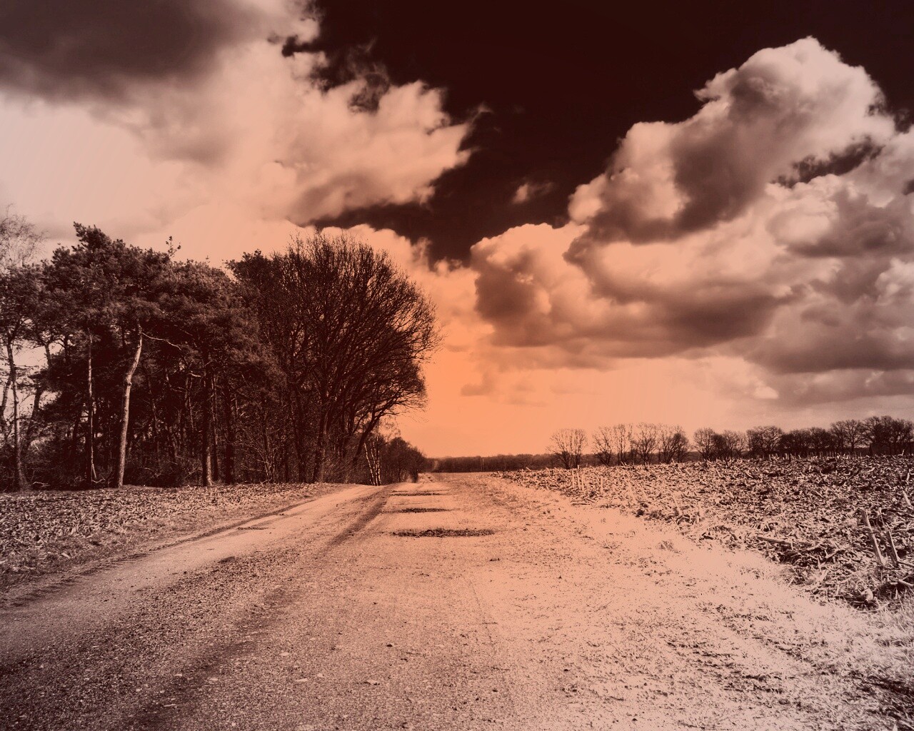 Дорога через поле обои