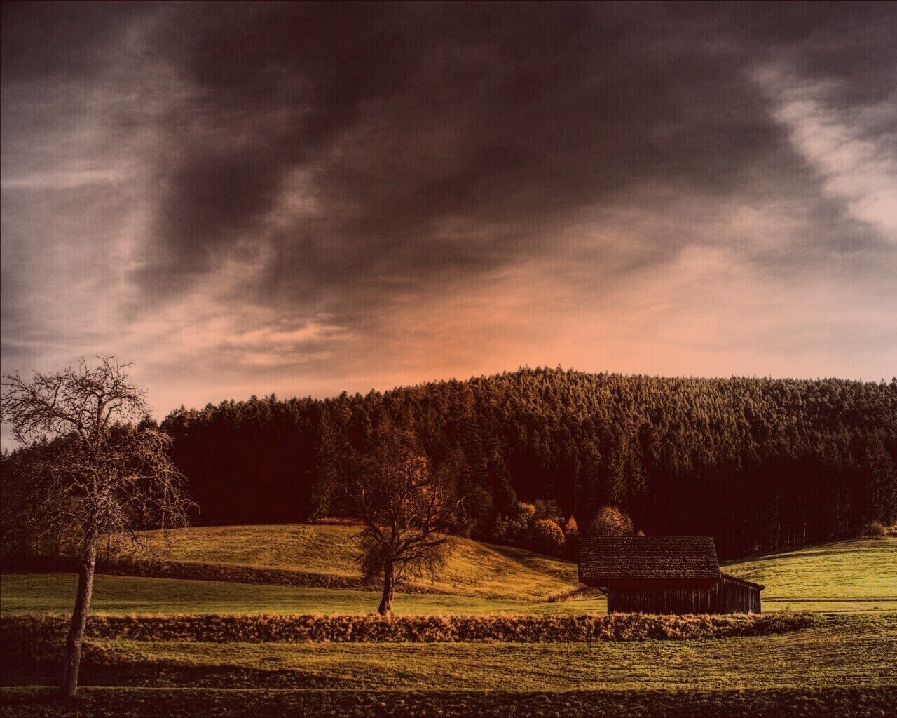 Домик в поле обои