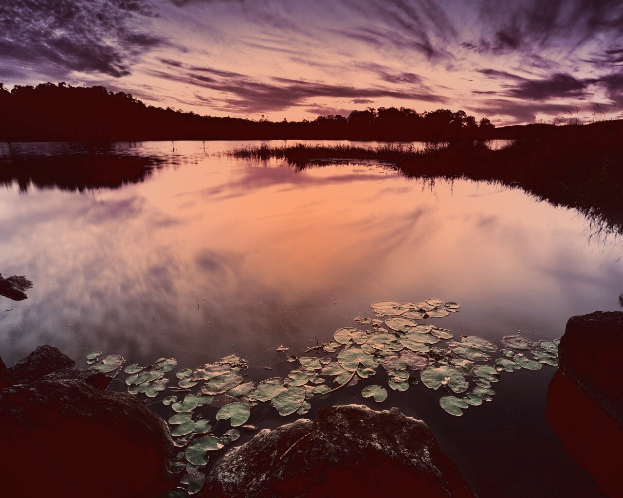 Озеро поздним вечером обои