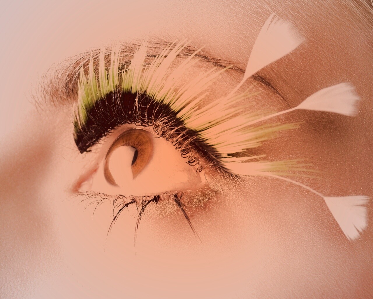 Красивые ресницы обои