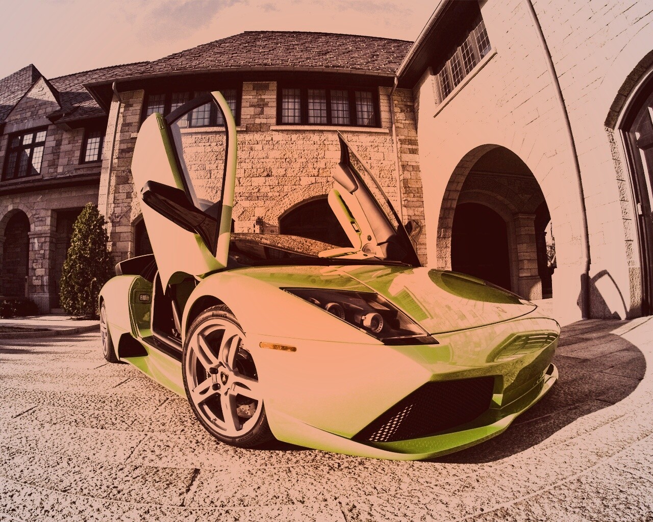 Зеленая ламба обои