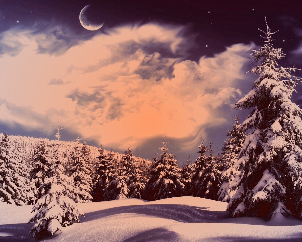 Зимний еловый лес обои