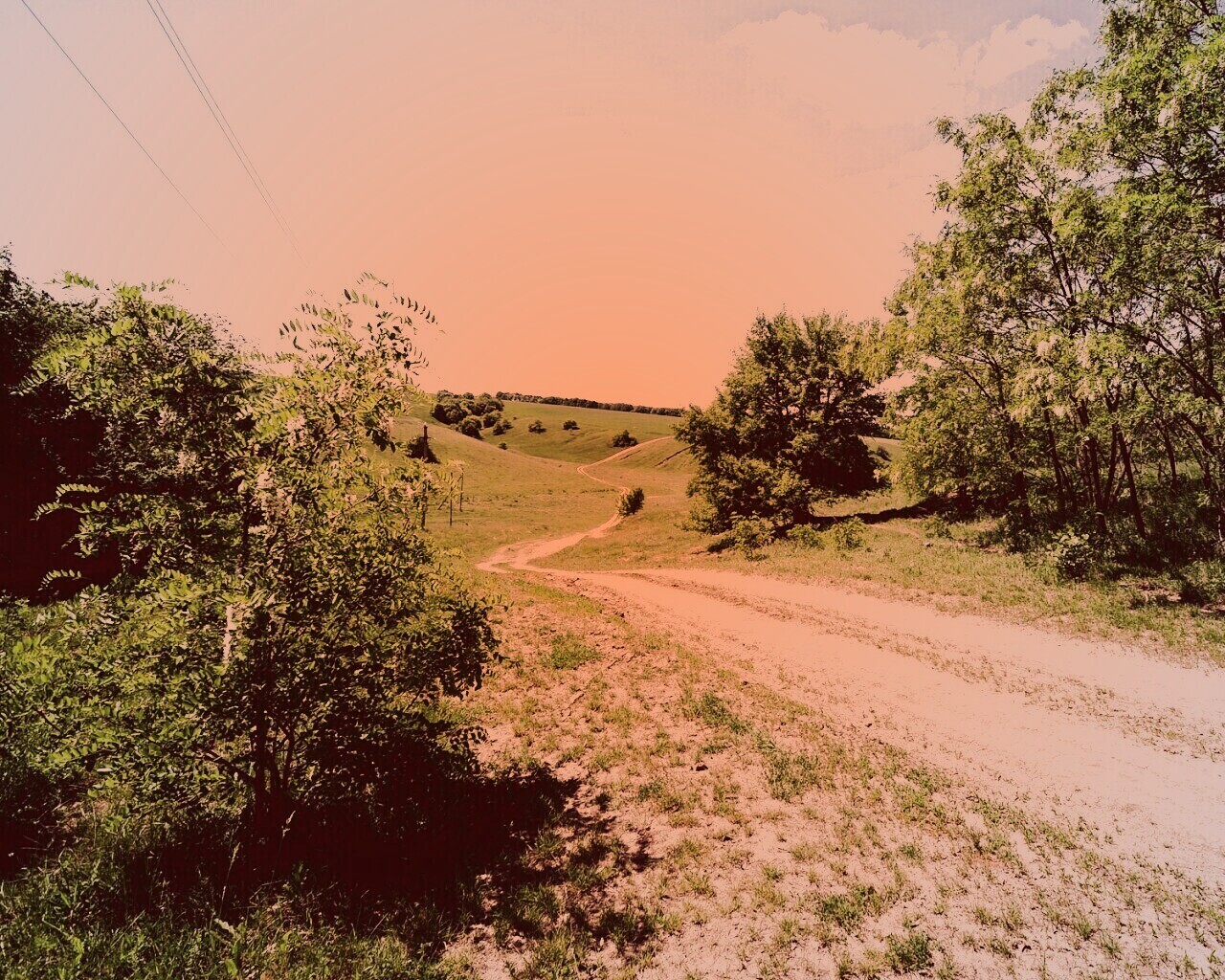 Просёлочная дорога обои