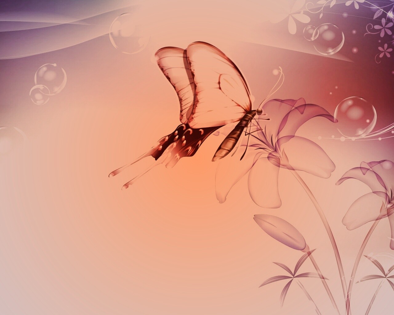 Сказочная бабочка обои