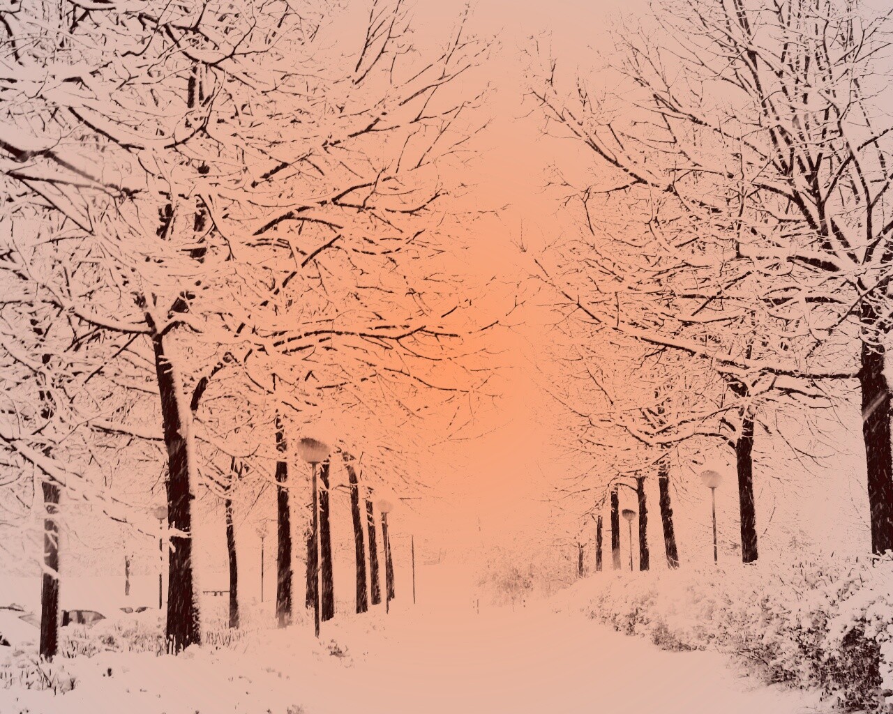 Заснеженная аллея обои