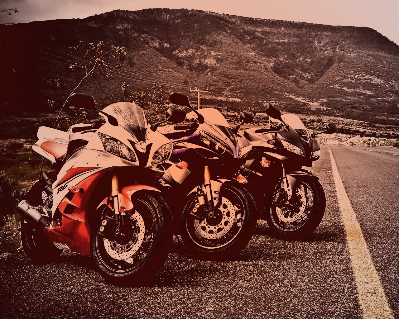 Раллийные мотоциклы на дороге обои