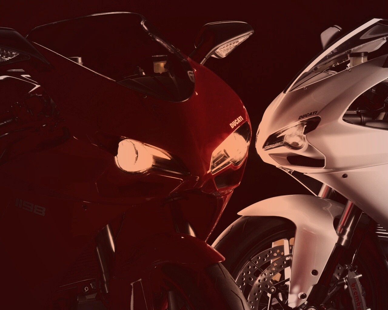 Красавцы  обои