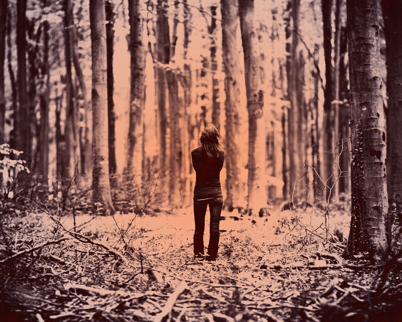 Одна в лесу обои