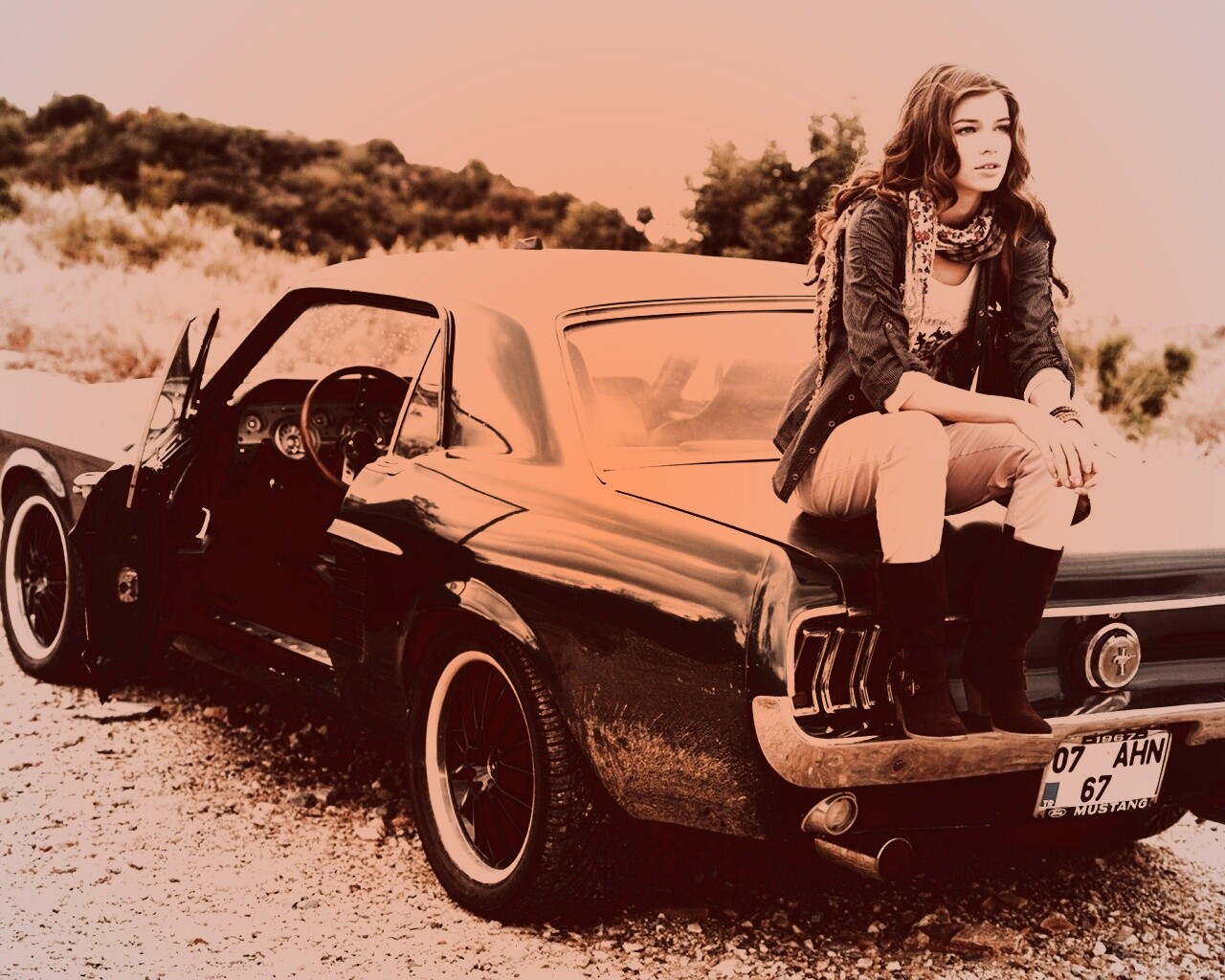 Девушка на мустанге обои