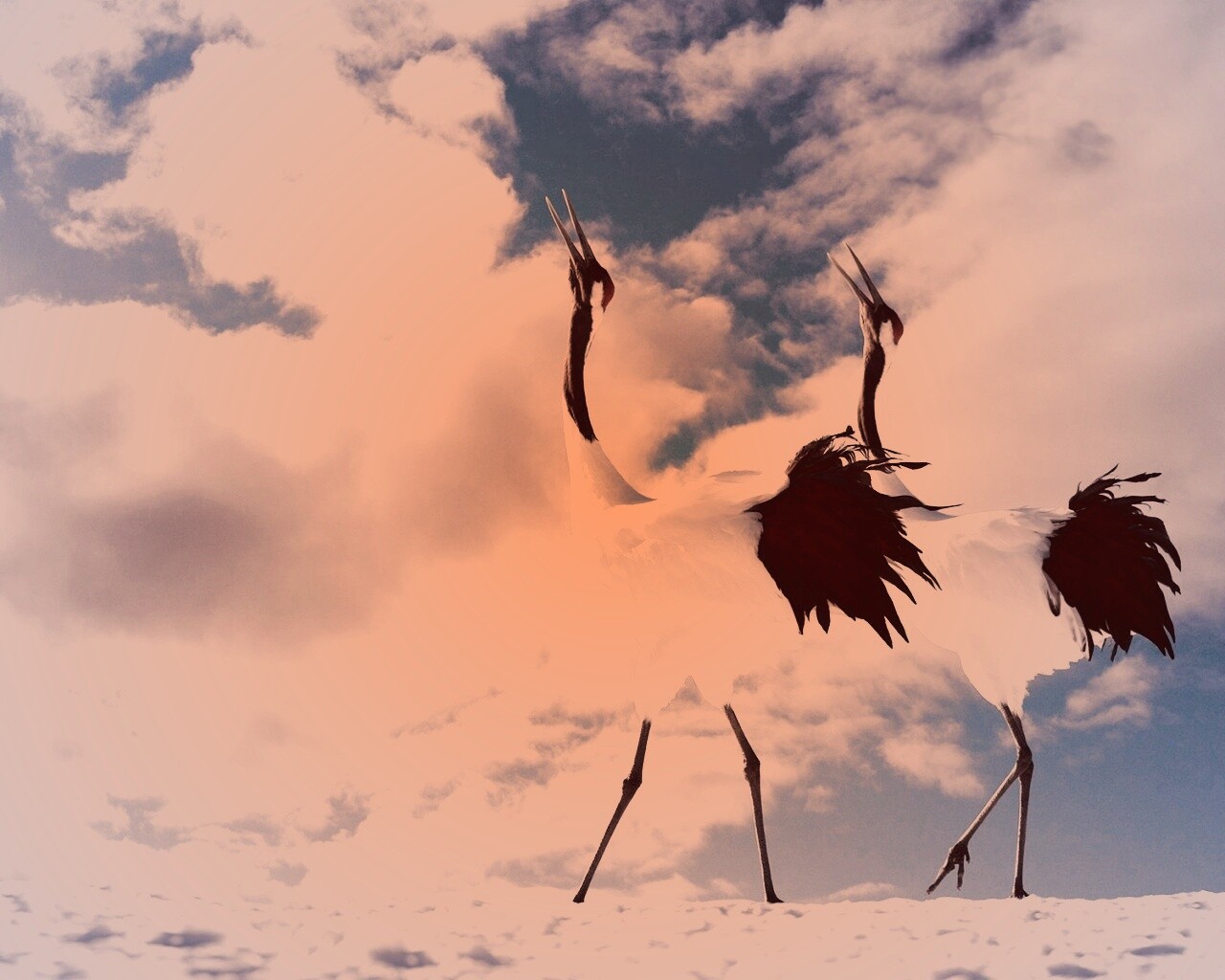 Журавли обои