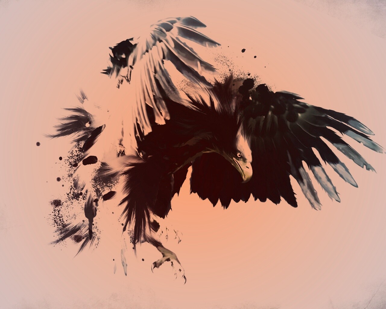 Скетч с орлом обои