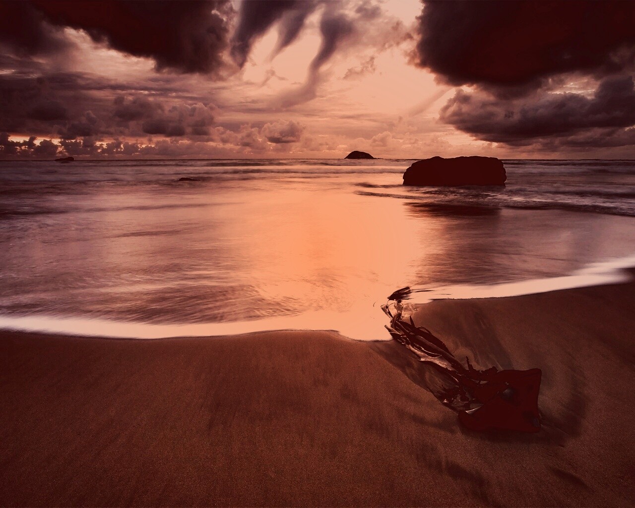 Коряга на пляже обои