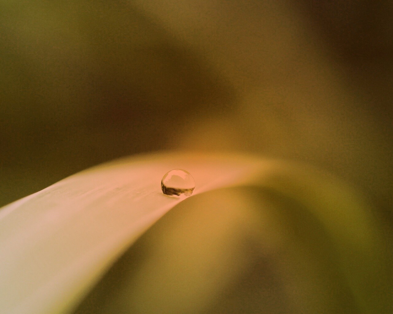 Капелька воды обои