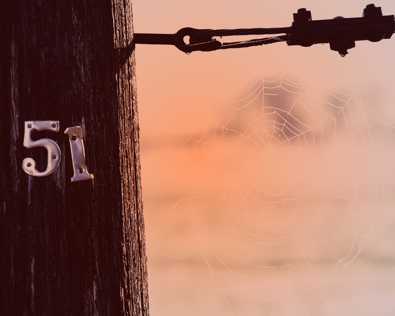 Паутина 51 обои