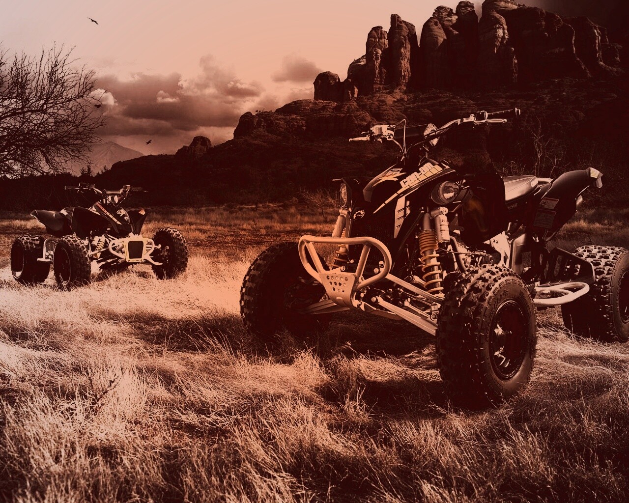 Квадроциклы обои