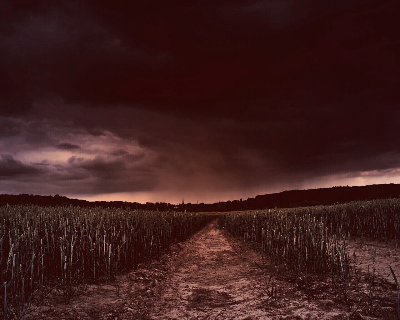 Поле ночью обои