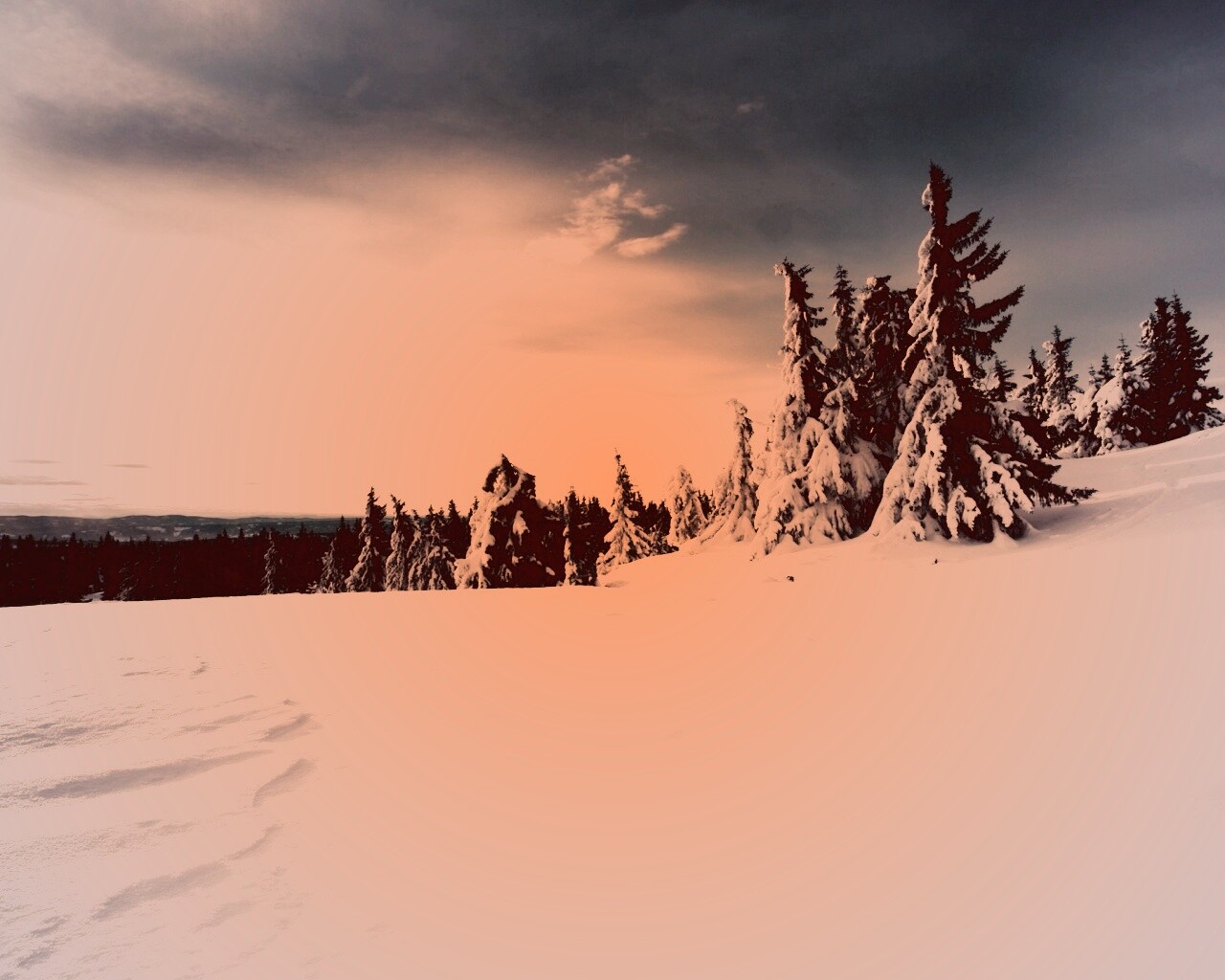 Зимние просторы обои