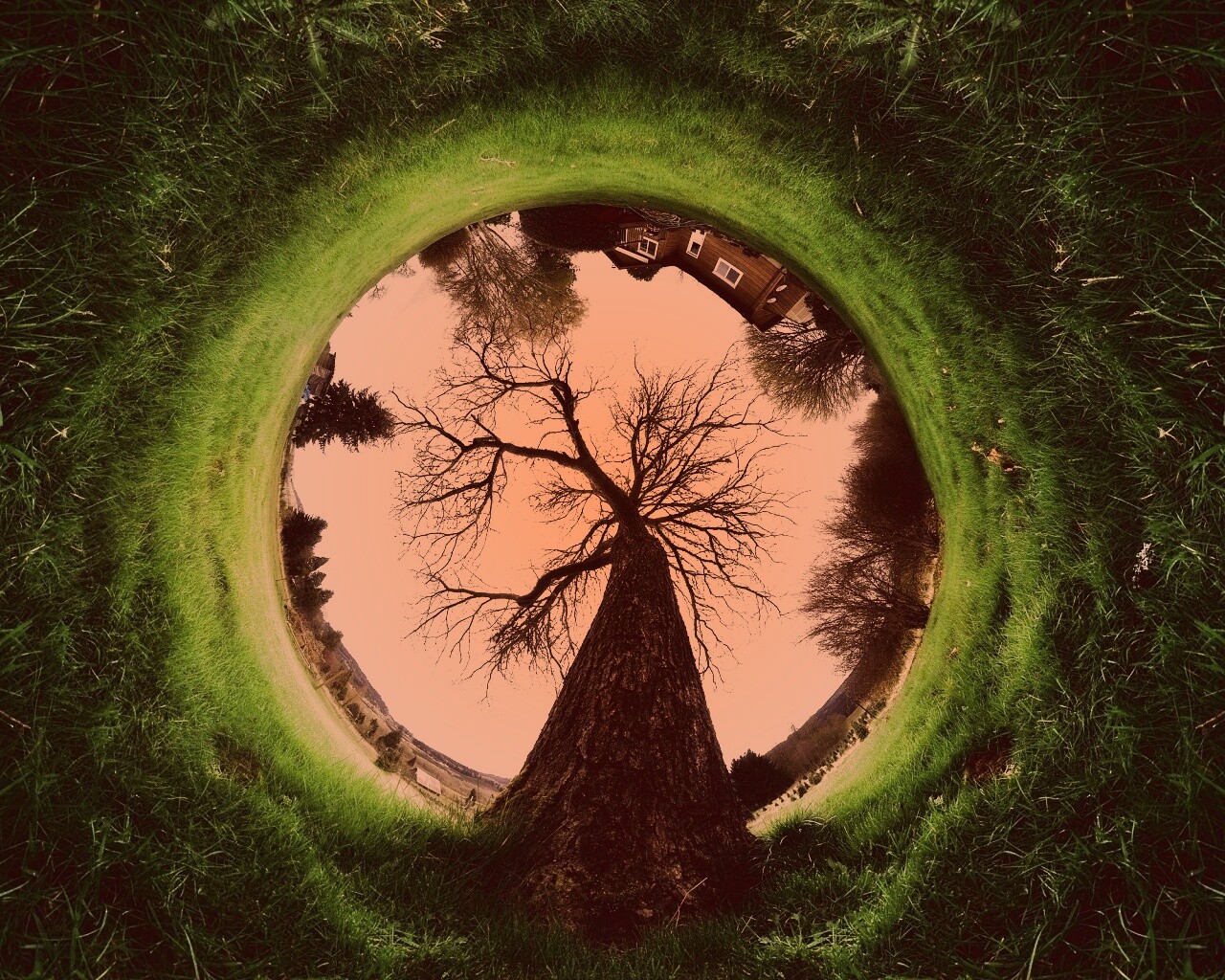 Другой взгляд на мир обои