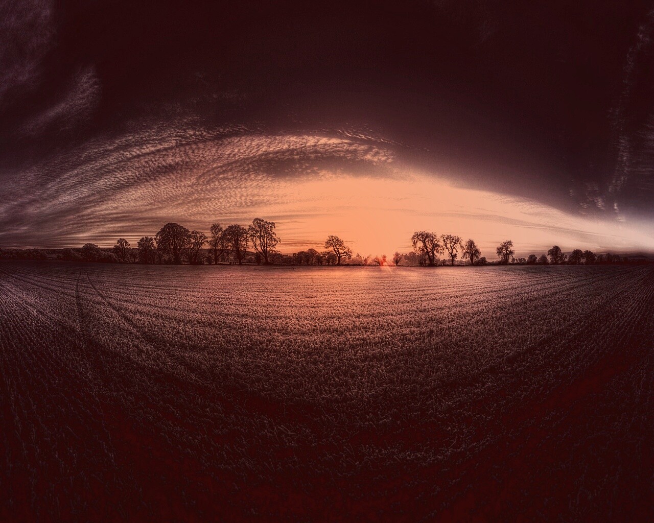 Поле широкоугольным объективом обои