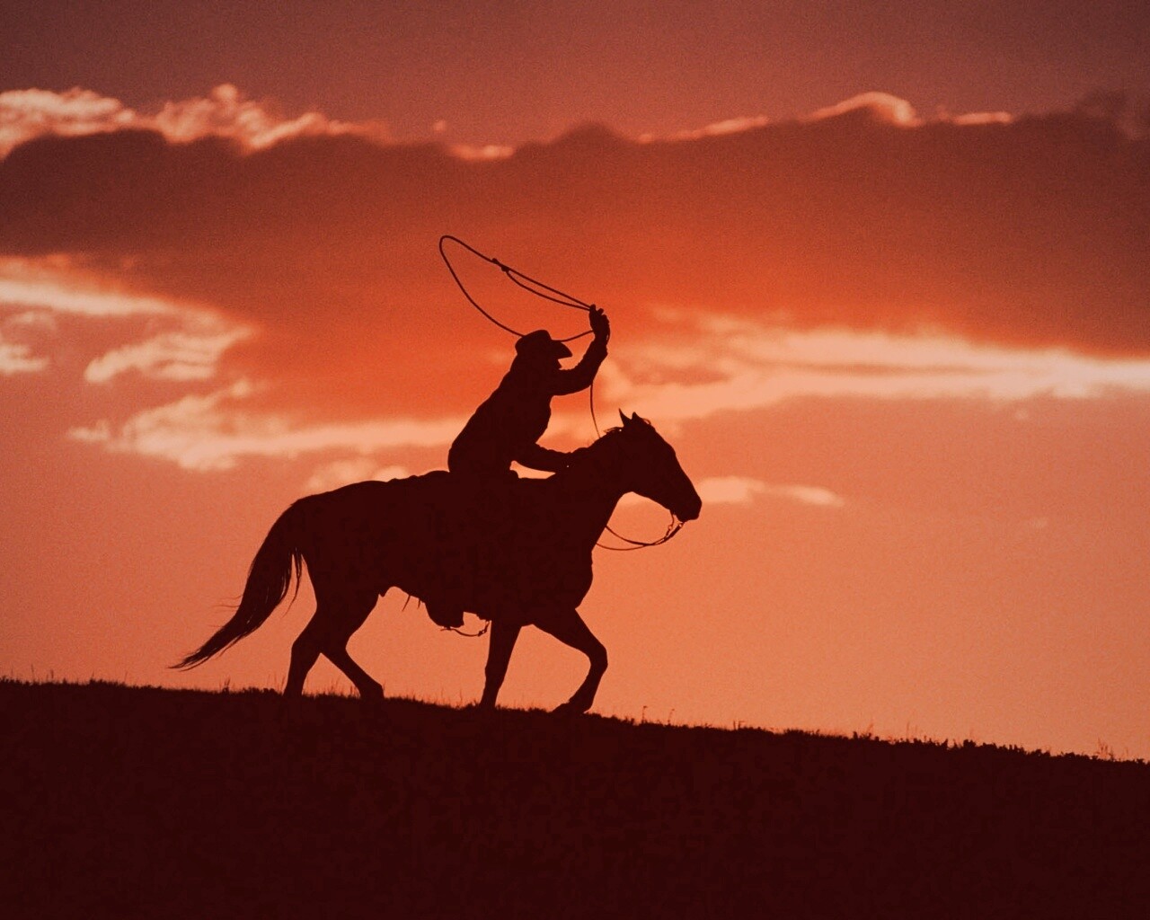 Силуэт ковбоя на закате обои