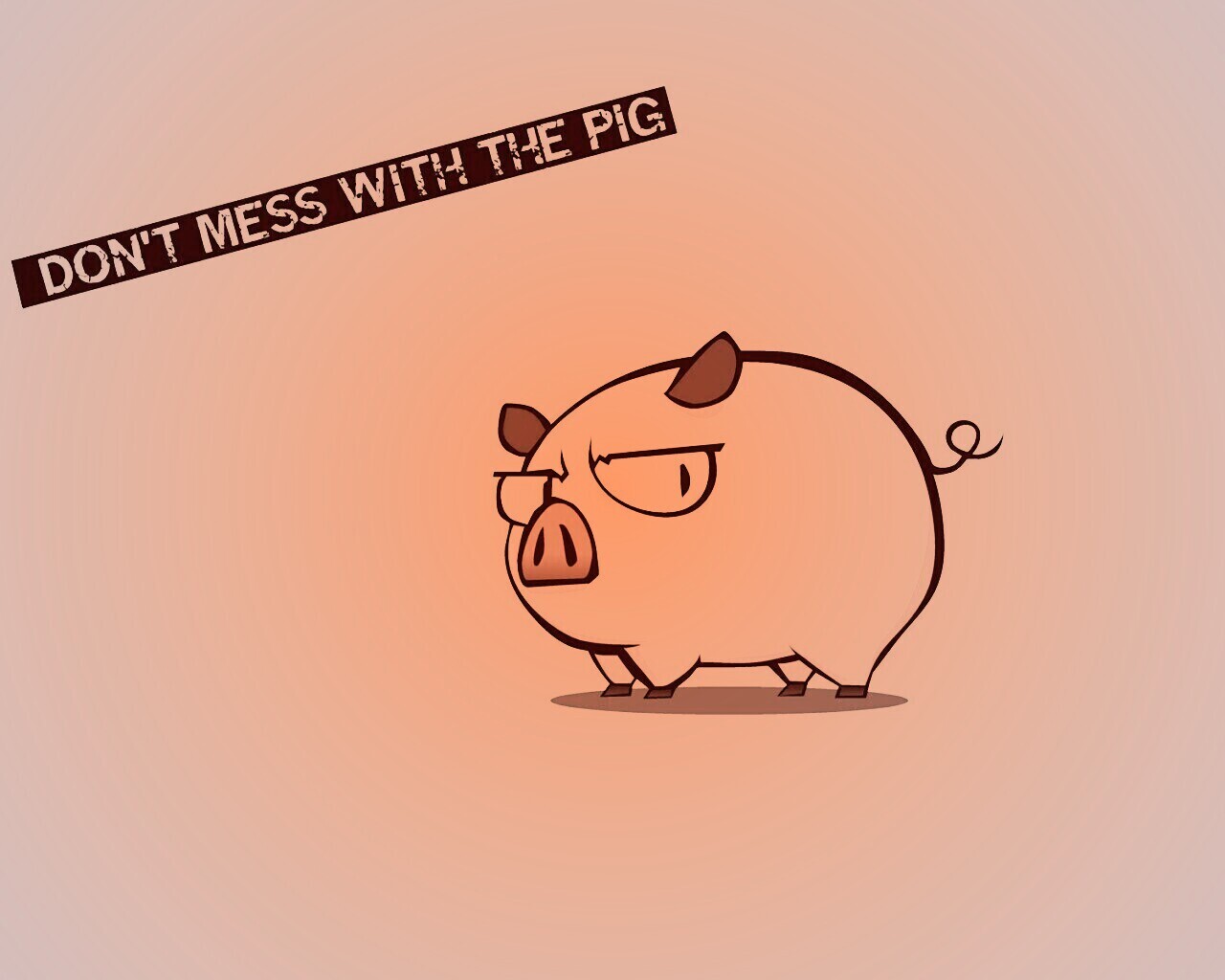 Не путайся со свиньей обои