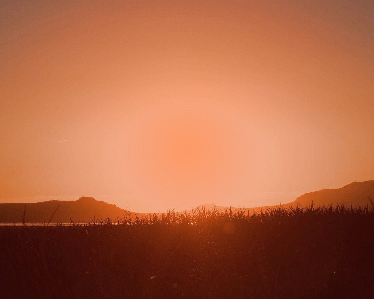 Сельский закат обои