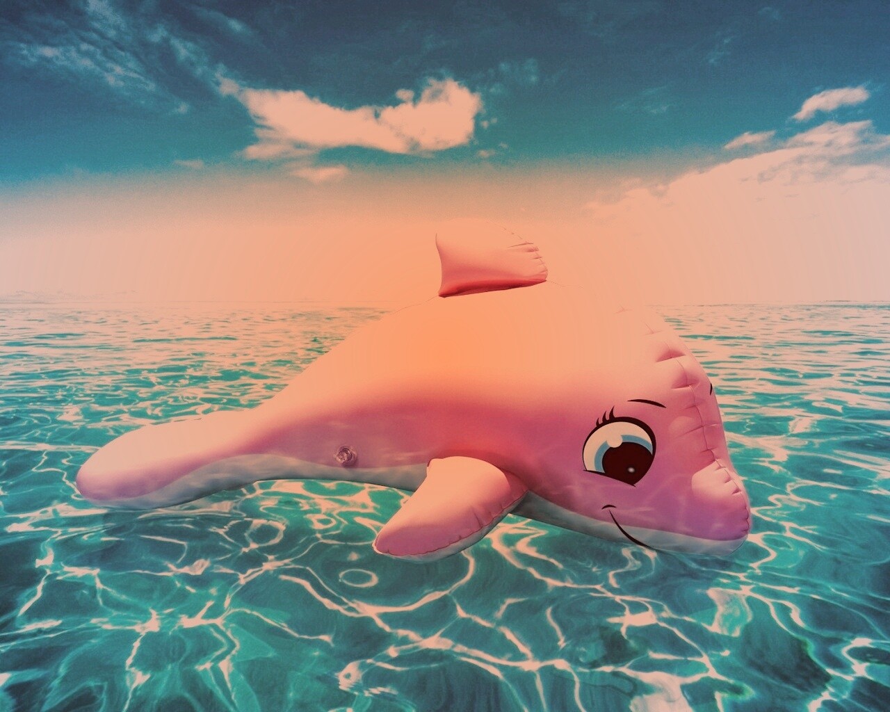 Надувной розовый дельфин обои