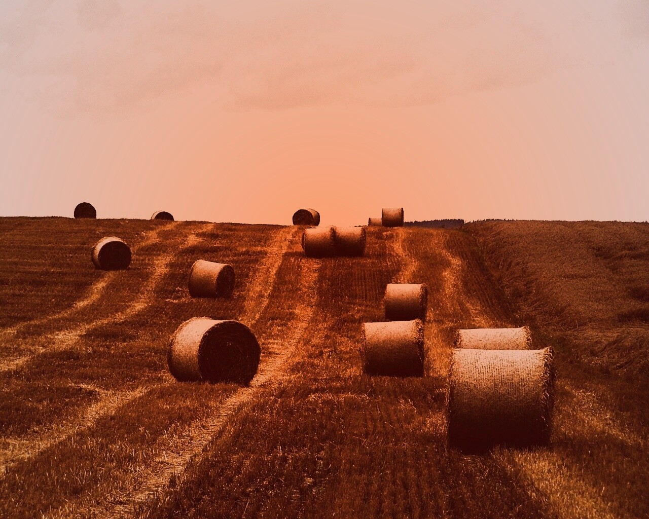 Уборка сена с поля обои