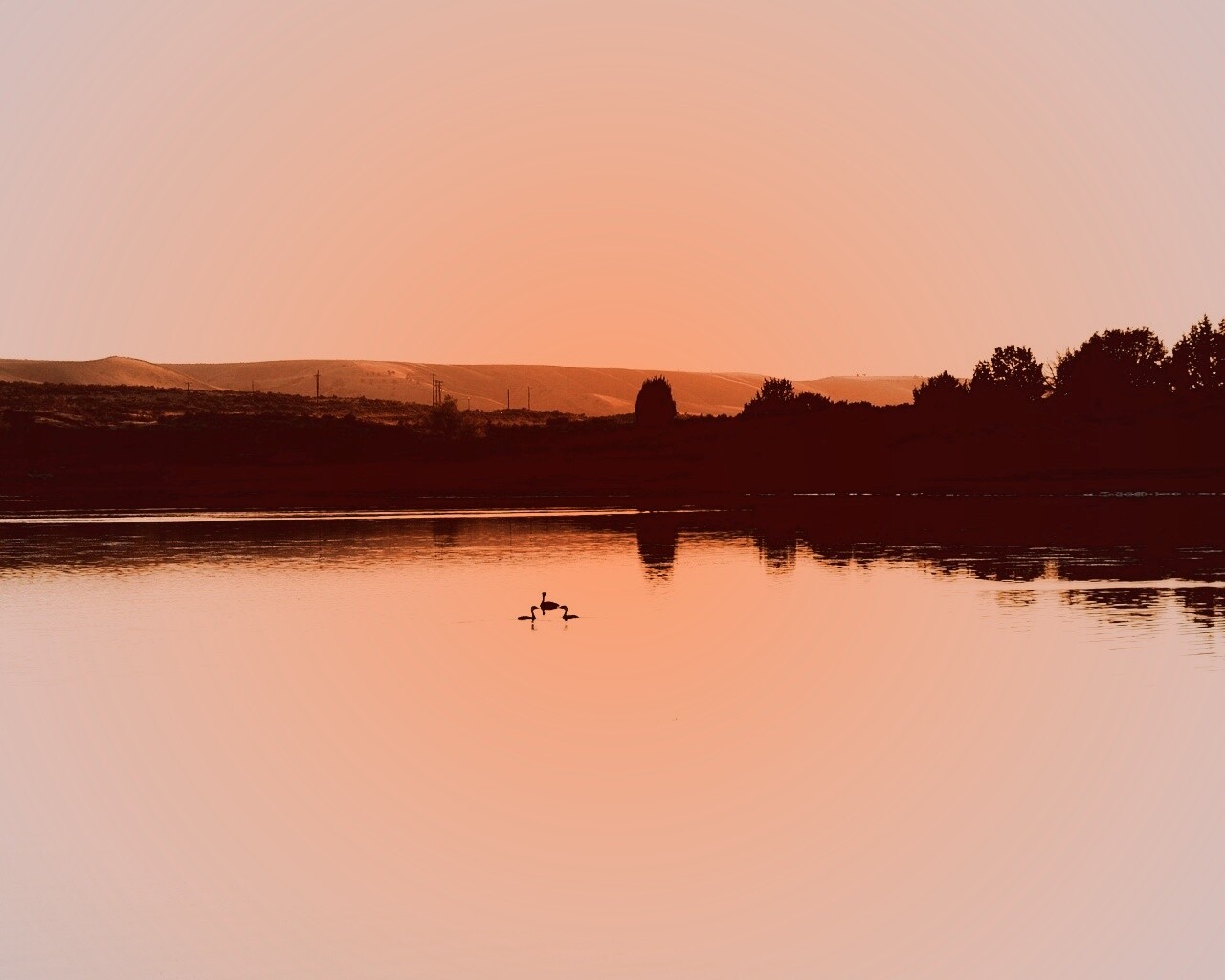 Утиное озеро обои