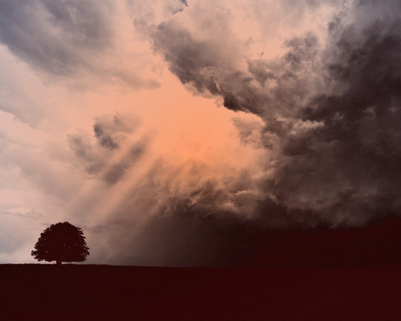 Избранный обои