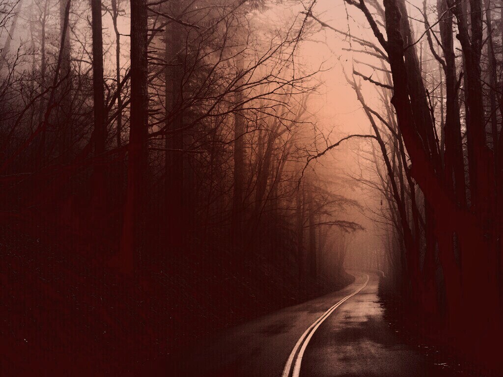 В туман обои