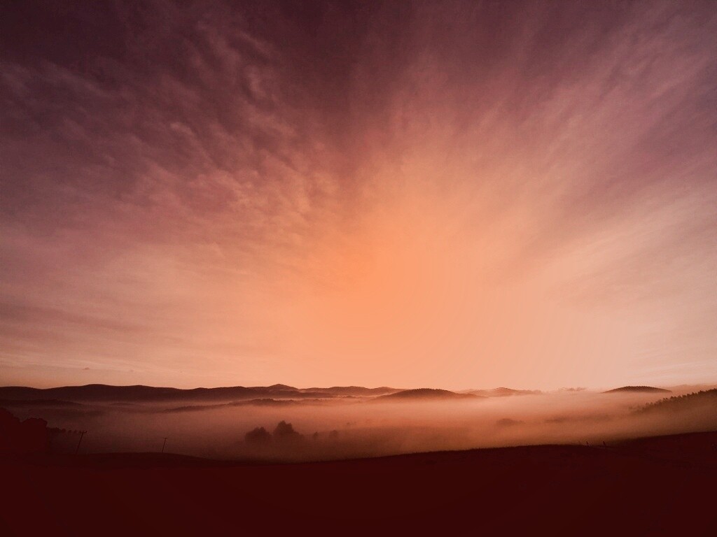 Утренний туман обои