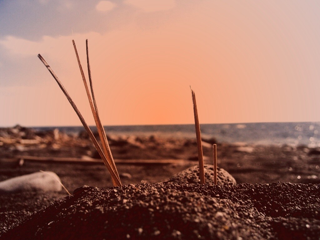 Солома на океанском берегу обои