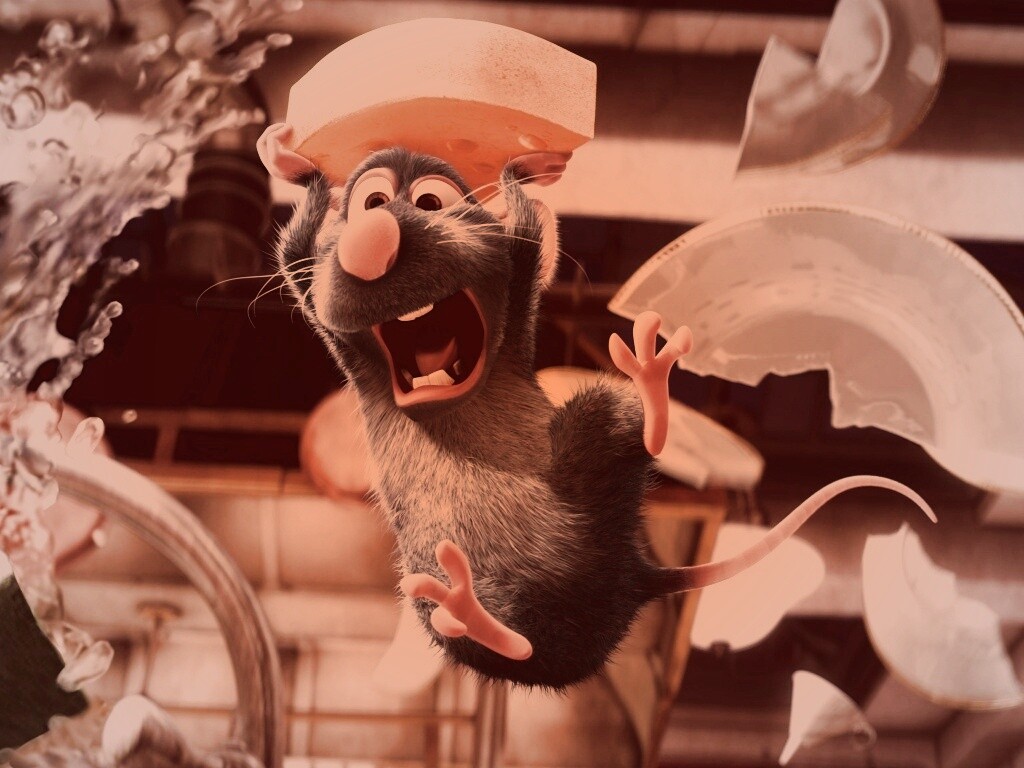 Крыса с сыром из Рататуя обои