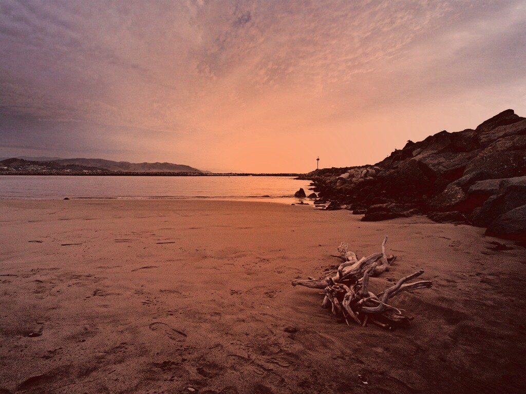 Коряга не берегу обои