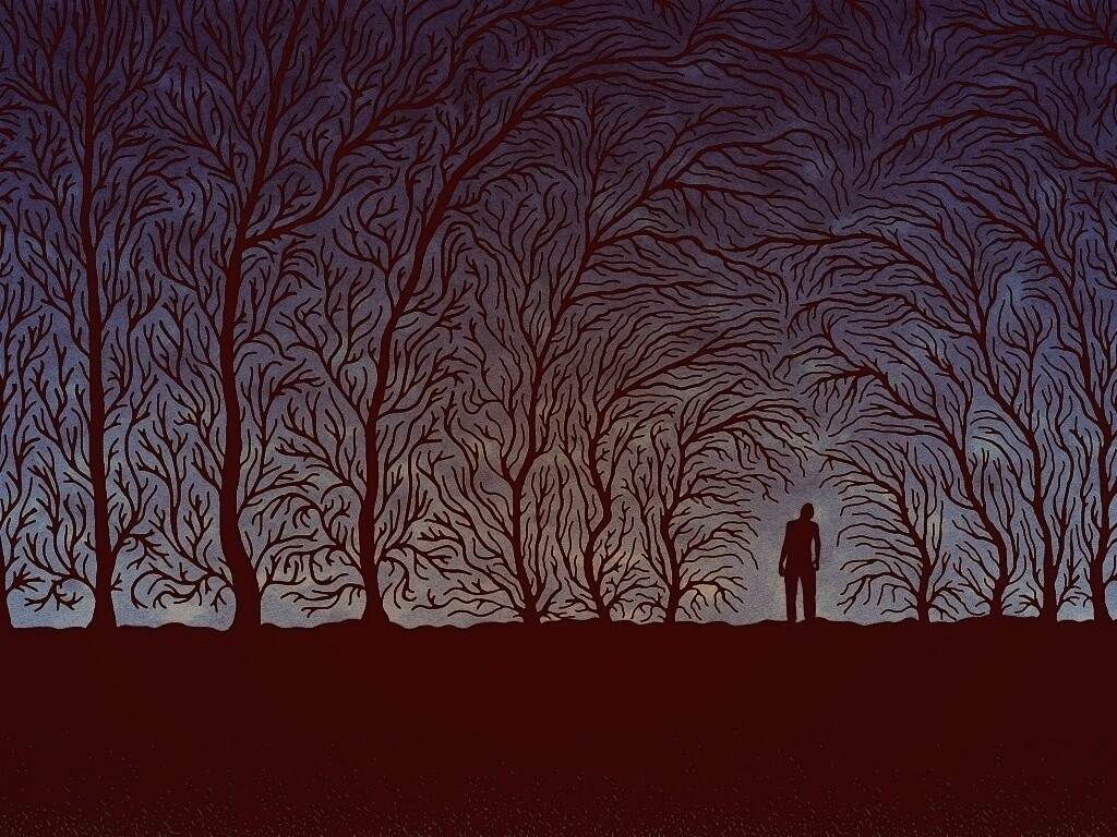 Смыкающиеся деревья обои